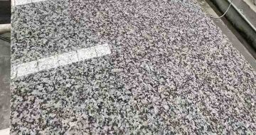 黄石 芙蓉白光面