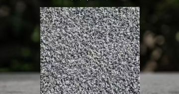 黄石 芝麻黑荔枝面